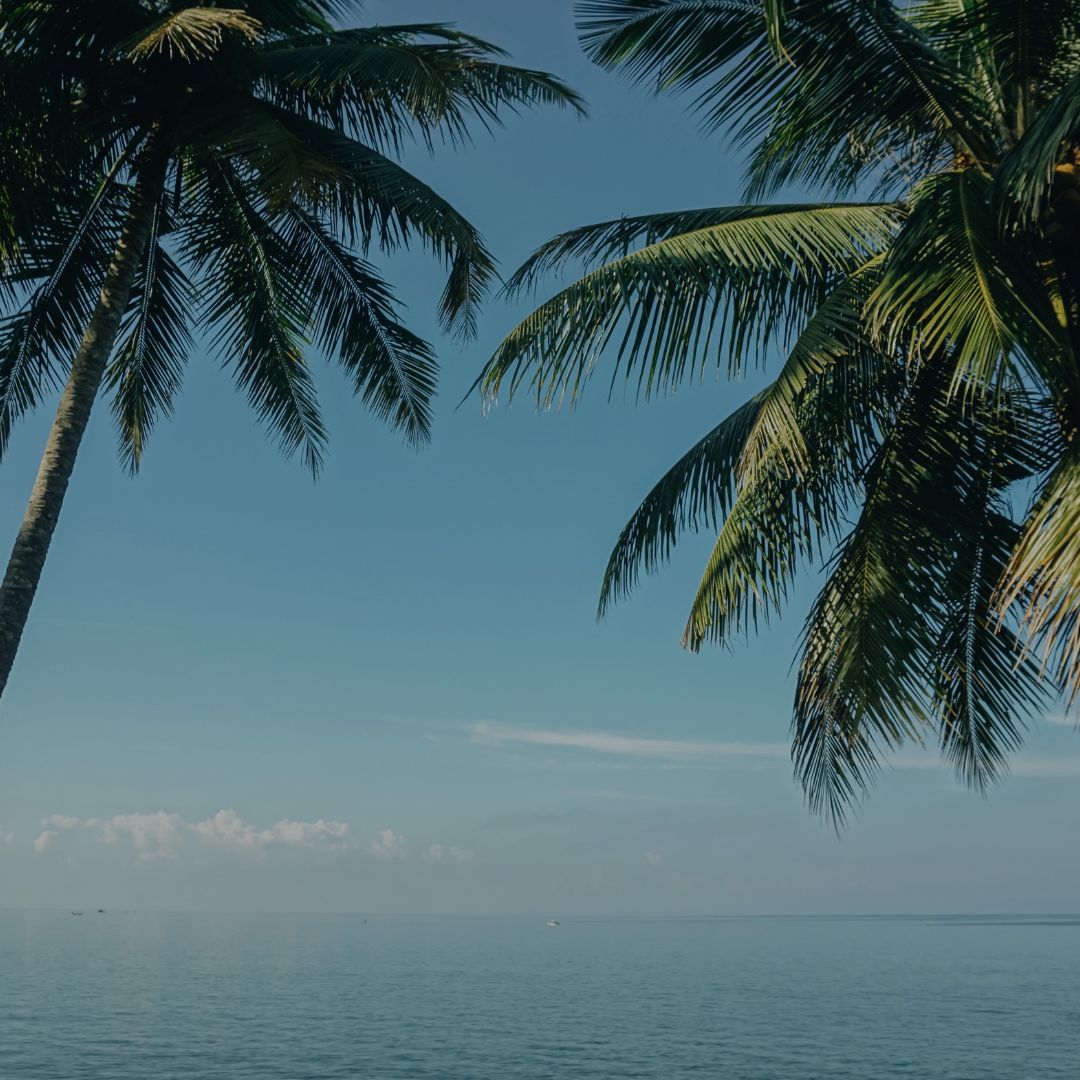Summer Sale