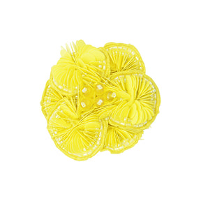 Yellow pink flower magnets